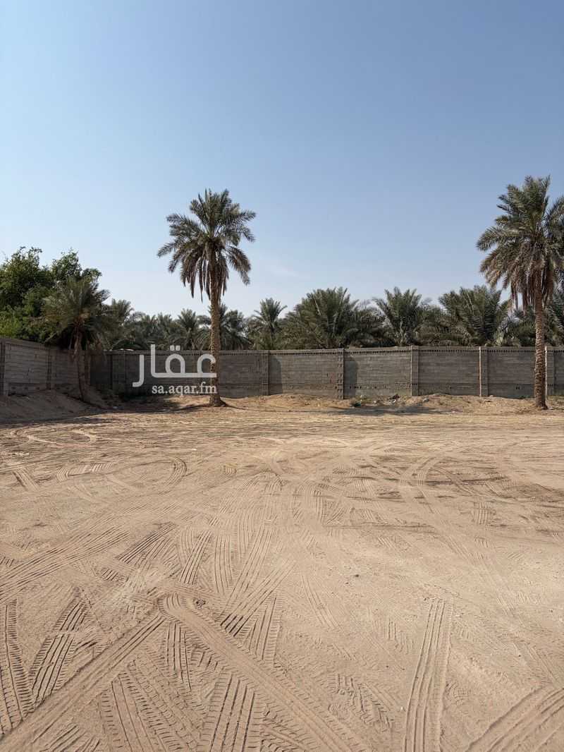 land in Al Qryn, Al Ahsa 2
