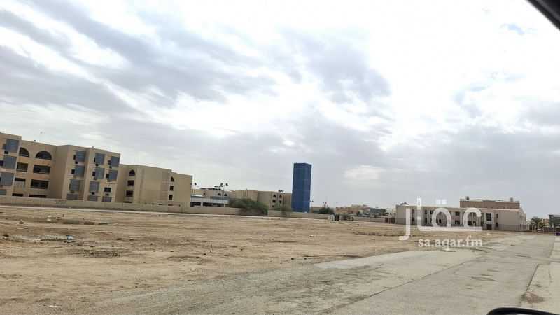 land in Al Utaban, Al Ahsa 2