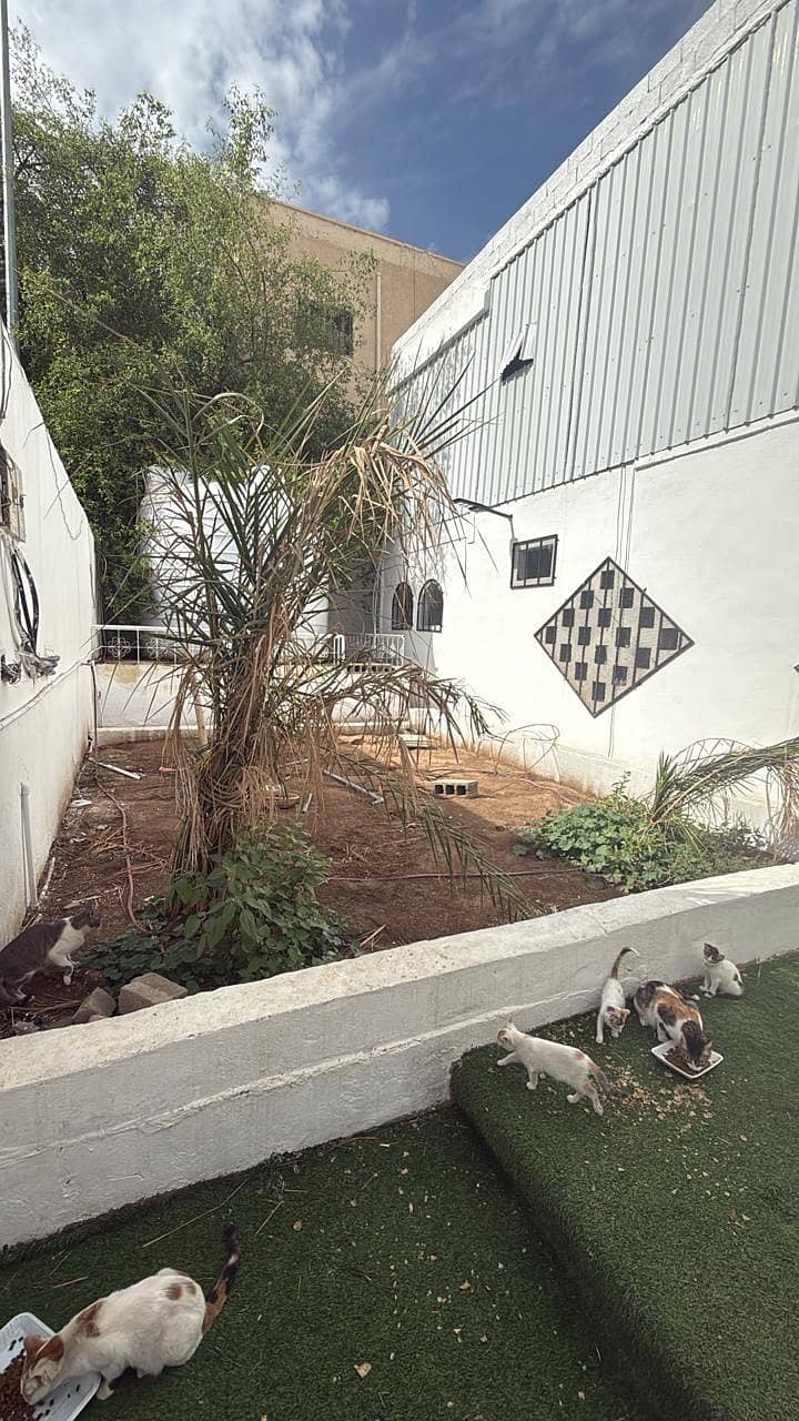 10 bedroom villa in Bani Muawiyah, Madinah 2