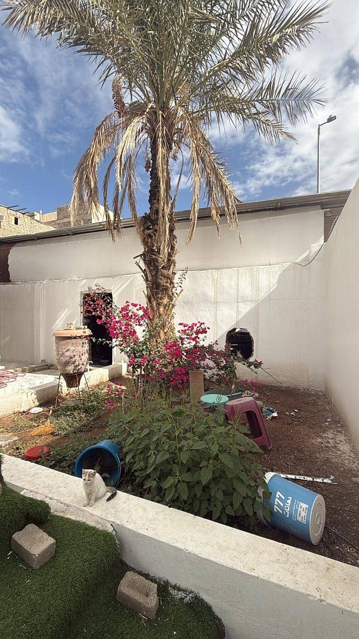 10 bedroom villa in Bani Muawiyah, Madinah 3