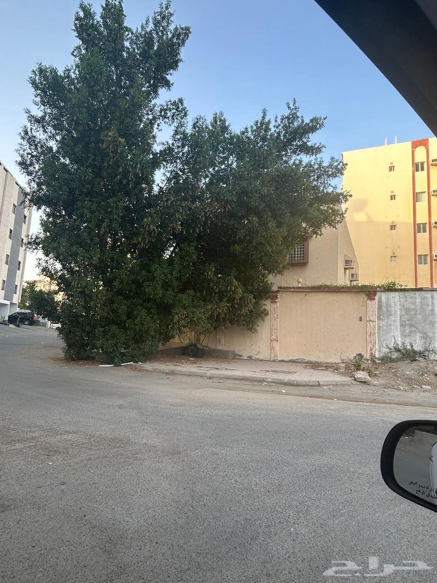 10 bedroom villa in Ar Rayan, Jeddah 4