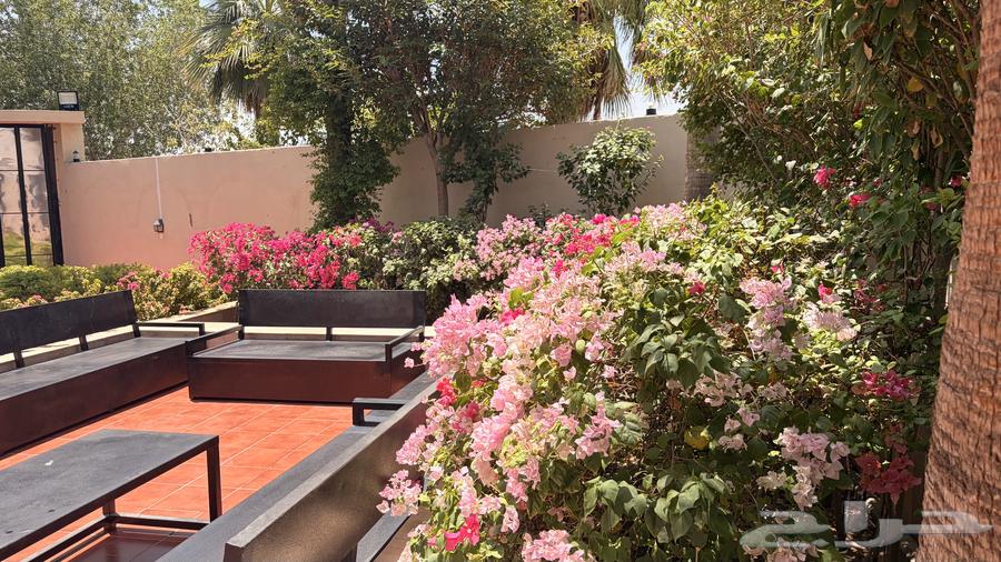 4 bedroom villa in Al Rashidiyyah, Makkah 6