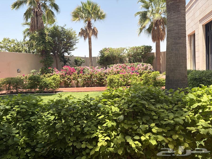 4 bedroom villa in Al Rashidiyyah, Makkah 4