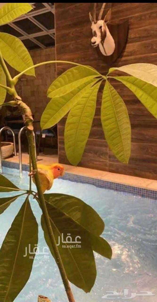 3 bedroom apartment in Al Muhammadiyah, Riyadh 8
