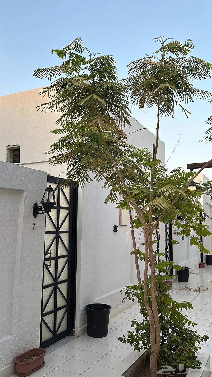 1 bedroom apartment in Al Aqul, Madinah 10