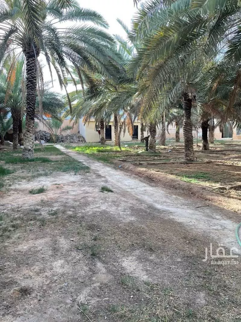 2500 sqm land in An Nadhim 15