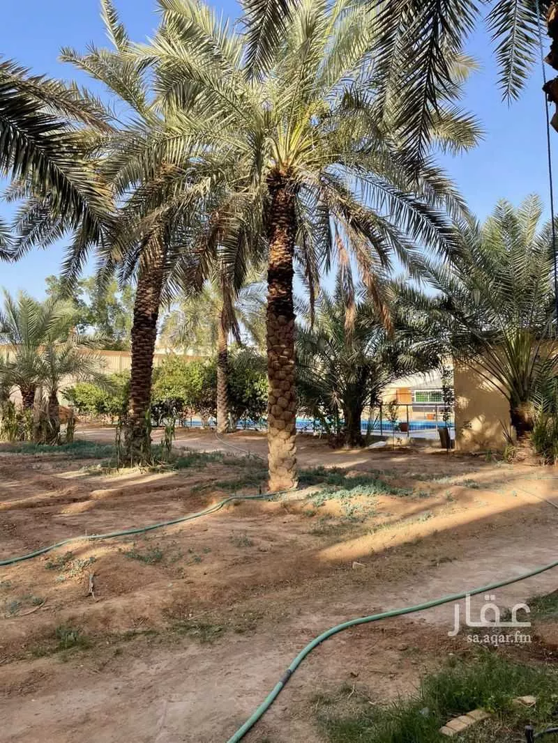 2500 sqm land in An Nadhim 7