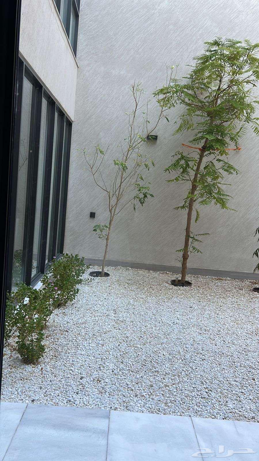 4 bedroom villa in Al Anahi, Madinah 4