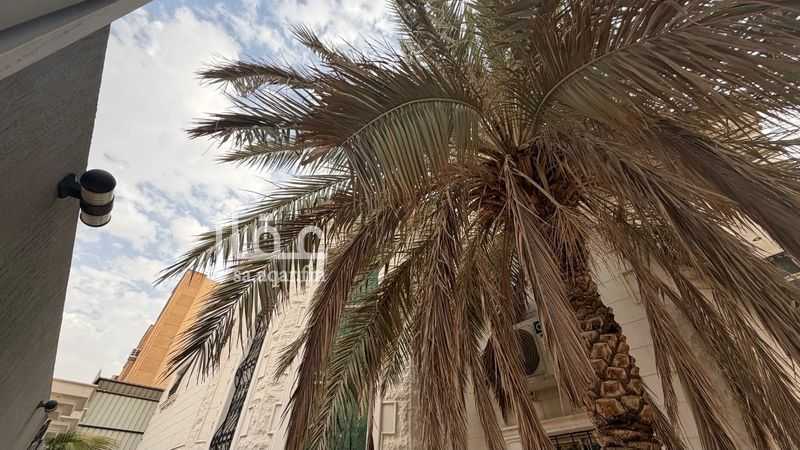 فيلا 3 غرف في الملك فيصل، الرياض 8