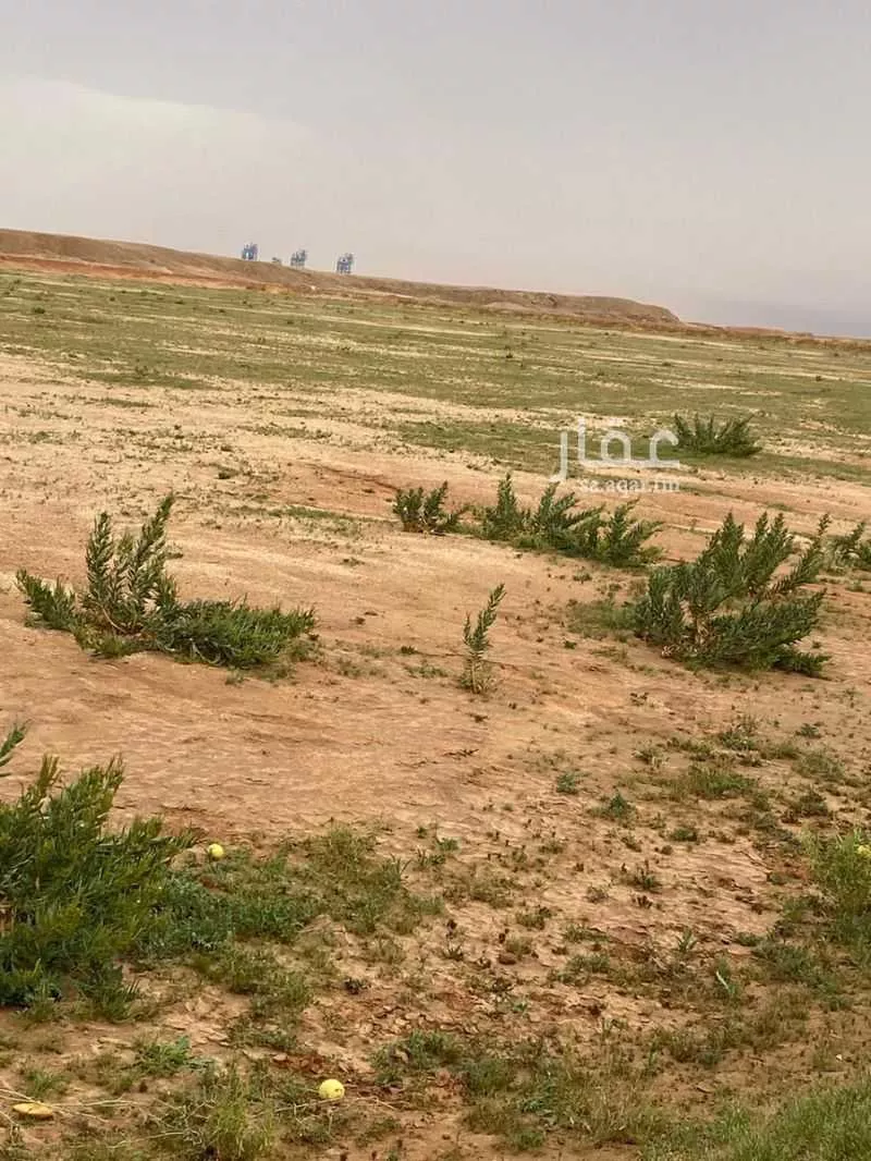 50000 sqm land in An Nadhim 3