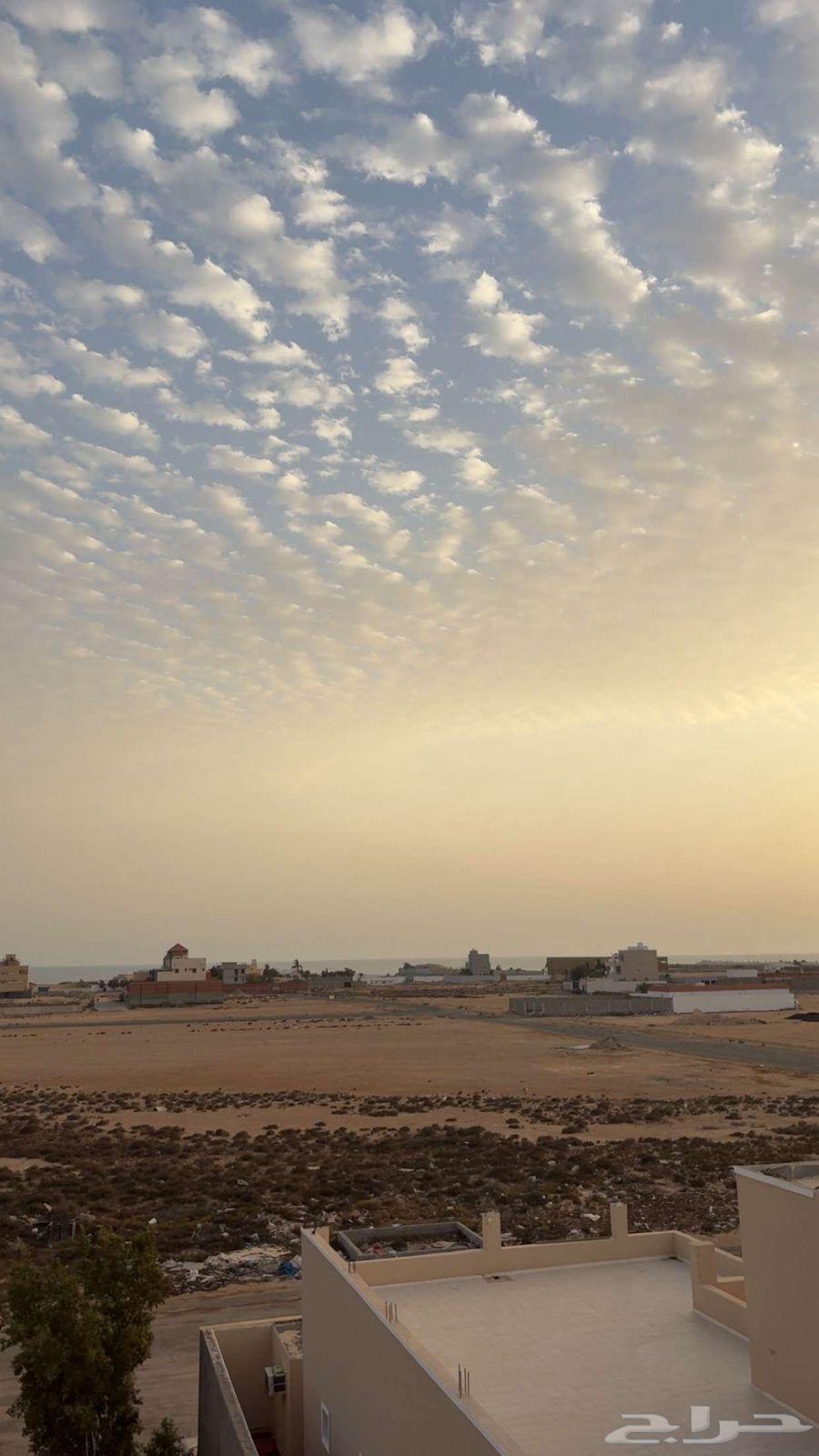 فيلا 10 غرف في المروج، جدة 12