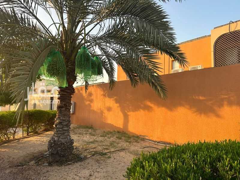 4 bedroom villa in Al Huwaylat, Eastern Province 4