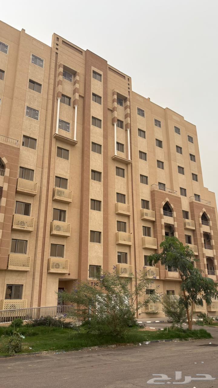 3 bedroom apartment in Mudhainib, Madinah 2