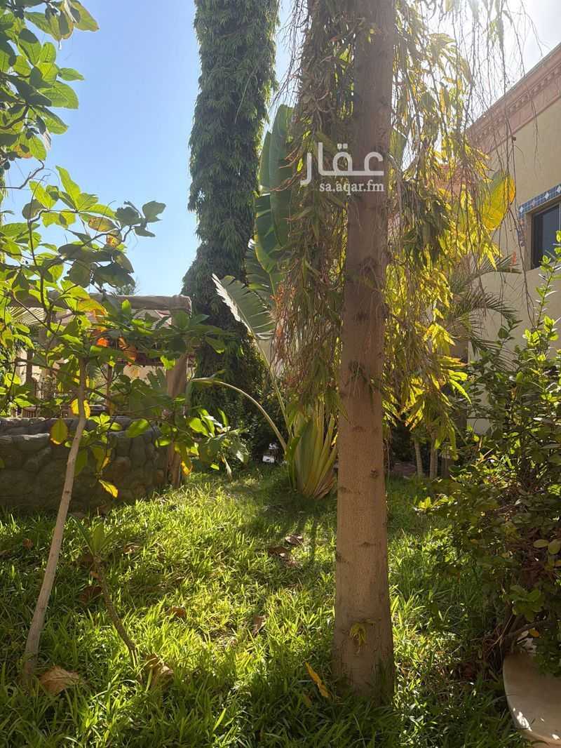 فيلا 3 غرف في المرجان، جدة 9