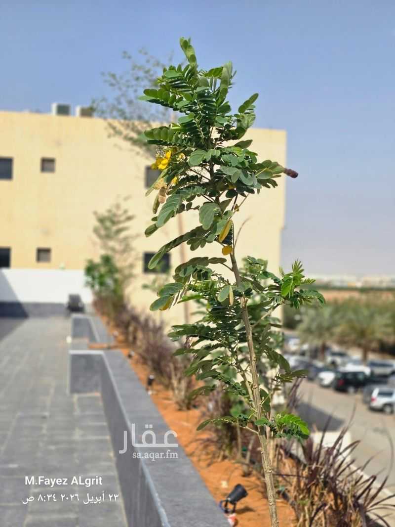 1 bedroom office in Al Munsiyah, Riyadh 2