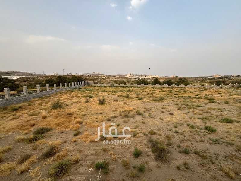 عقار 1 غرف في ذلالة، خميس مشيط 3