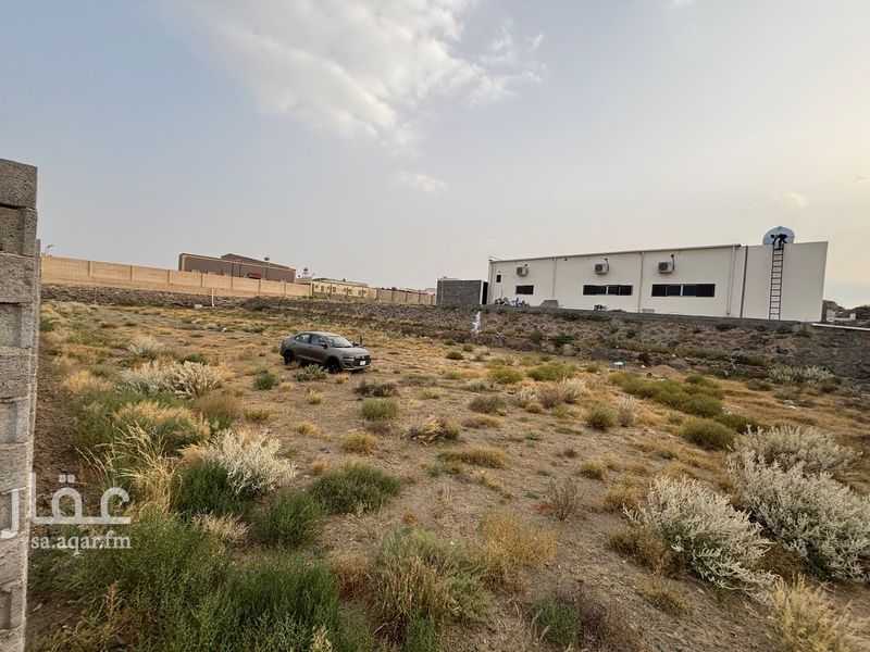 عقار 1 غرف في ذلالة، خميس مشيط 3