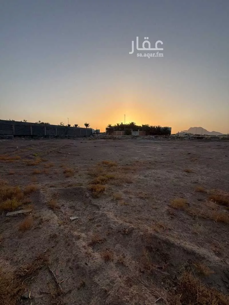 land in Al Ghabah, Madinah 4