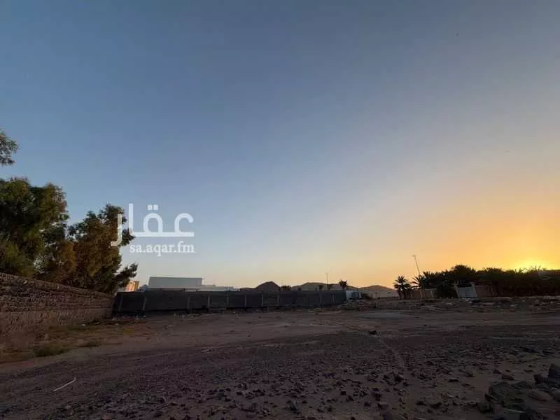 land in Al Ghabah, Madinah 7