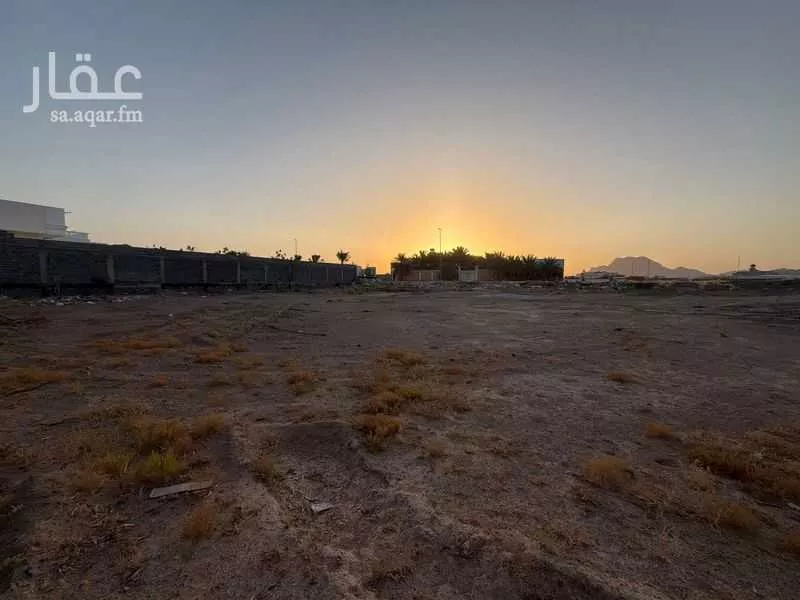 land in Al Ghabah, Madinah 5