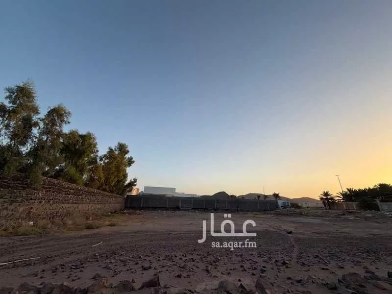 land in Al Ghabah, Madinah 6