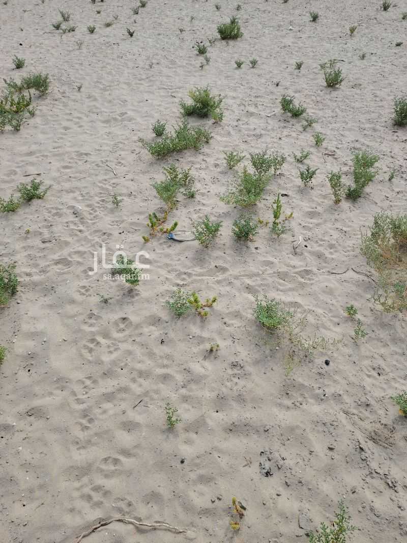 land in Al Anwar, Eastern Province 9