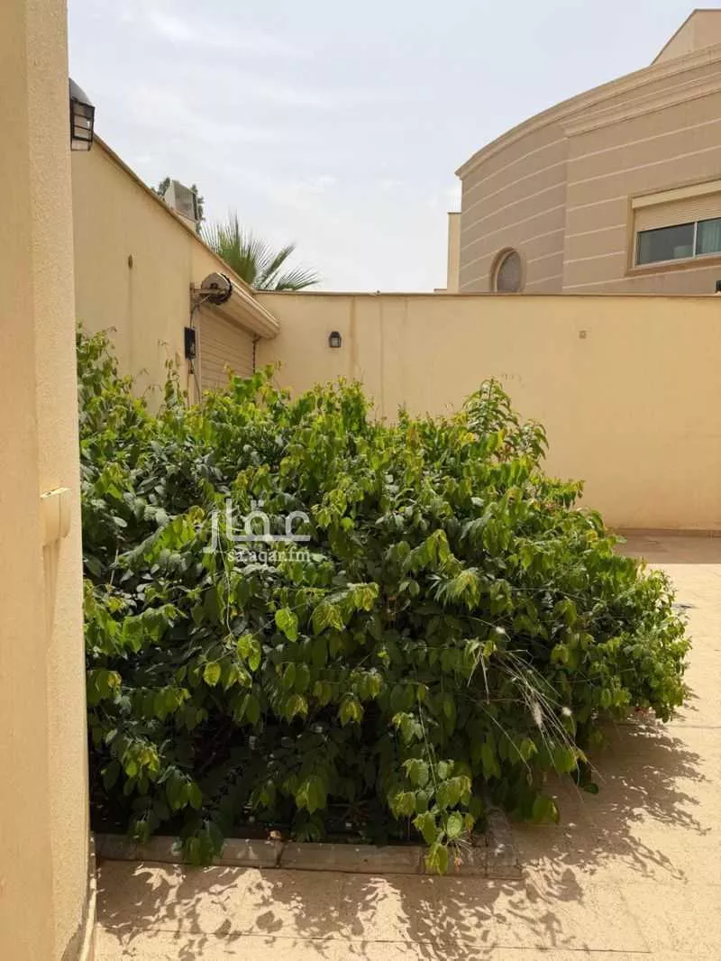 فيلا 4 غرف في الياسمين، الرياض 4