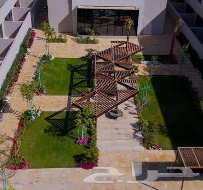 4 bedroom villa in Al Sulaimaniyyah, Riyadh 3