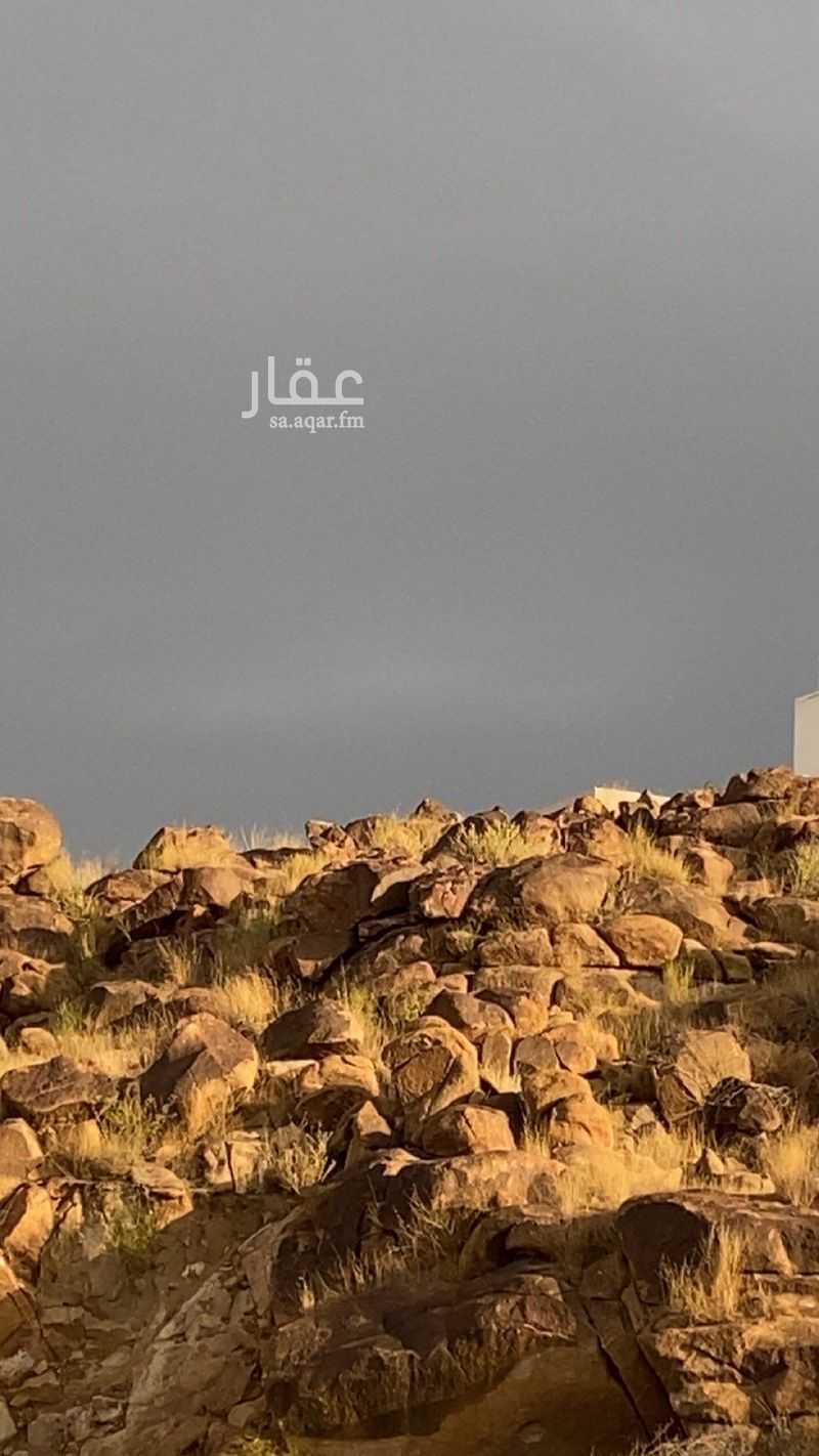 عقار  في الربيع، خميس مشيط 4