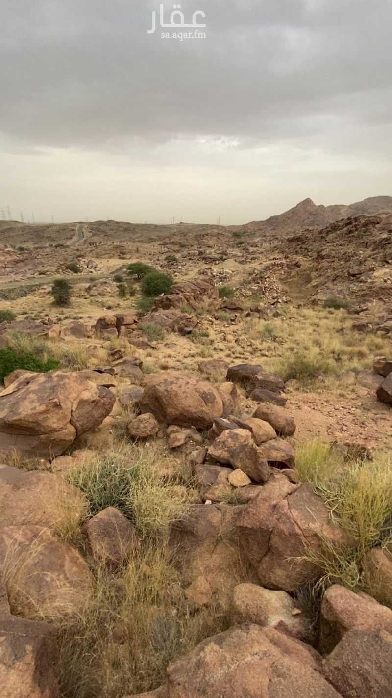 عقار  في الربيع، خميس مشيط 2