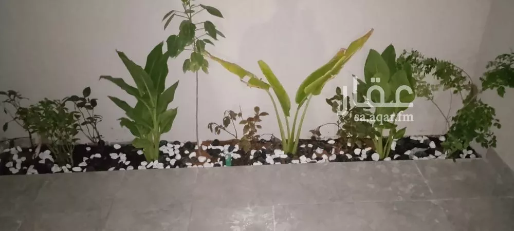 7 bedroom villa in Al Jalawiyah, Eastern Province 16