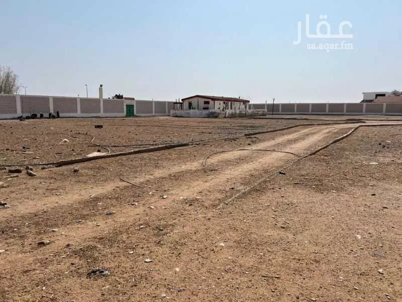 عقار 1 غرف في بلدة ذهبان، جدة 6