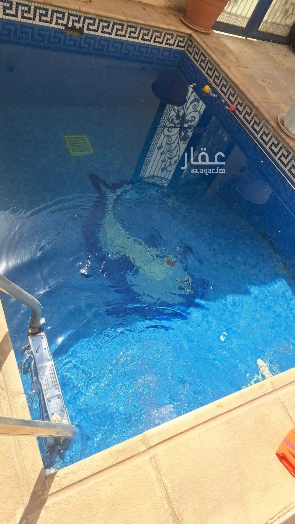 دور 3 غرف في الياسمين 5