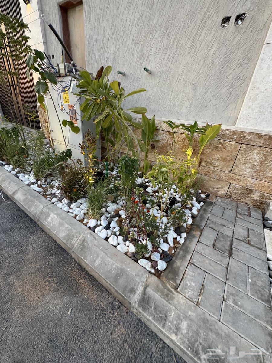 فيلا  في المرجان 9