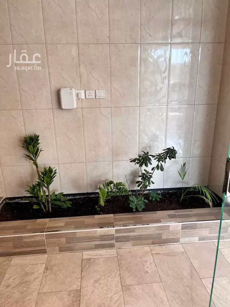 شقة 1 غرف في الحمراء 4