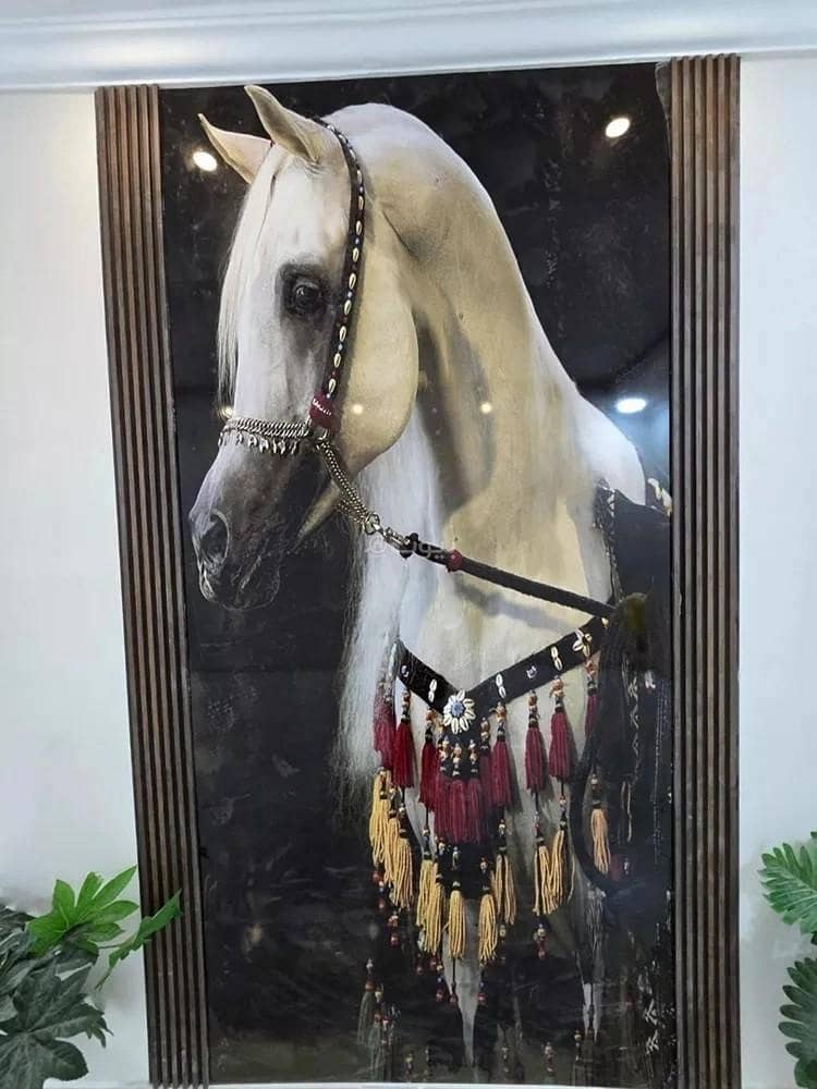 فيلا 4 غرف في ضاحية الملك فهد، الدمام 19