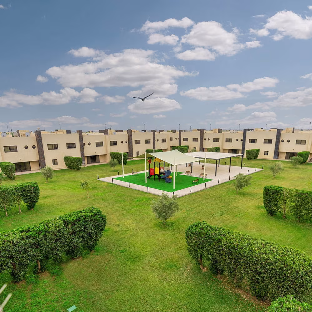 Vives Compound 3