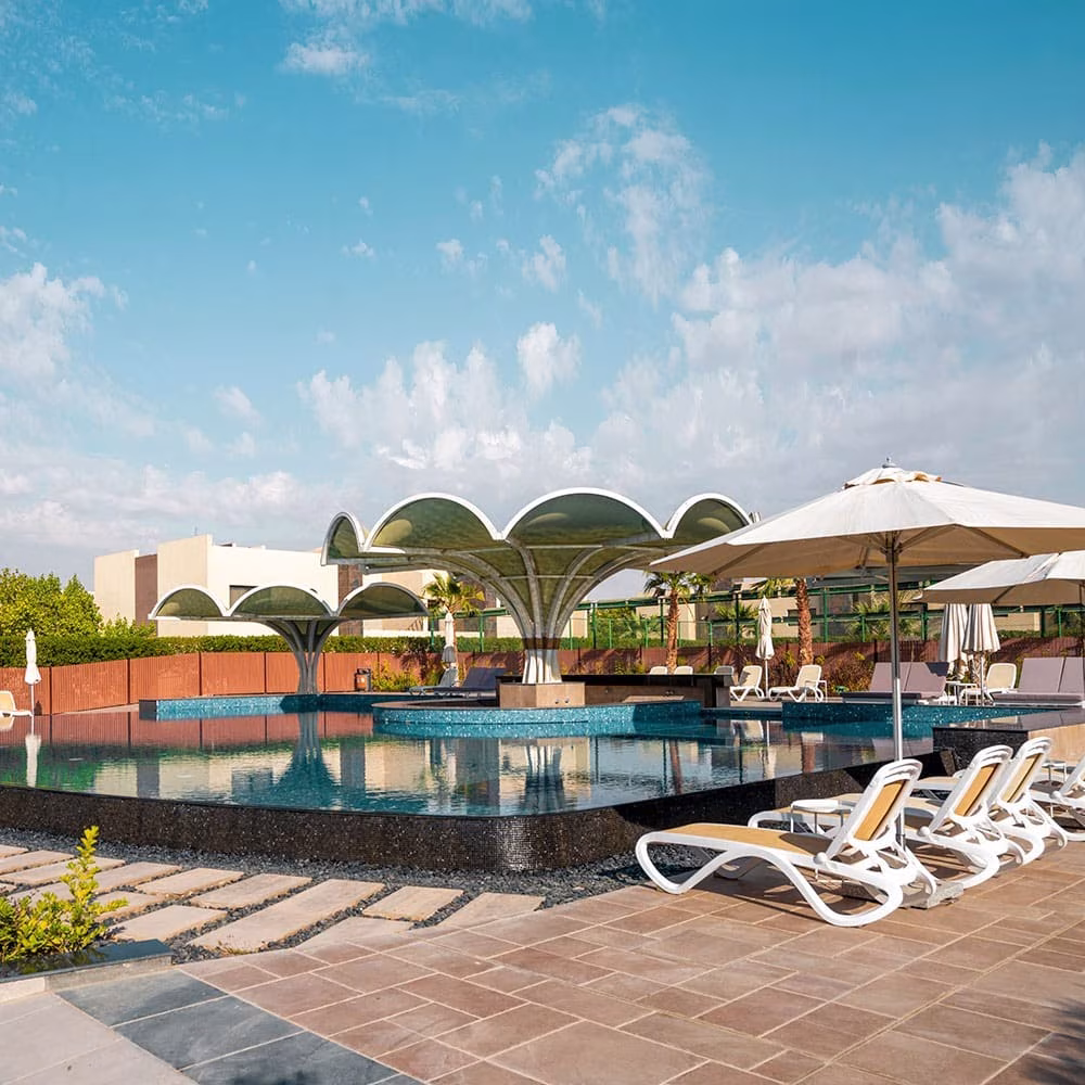 Vives Compound 24