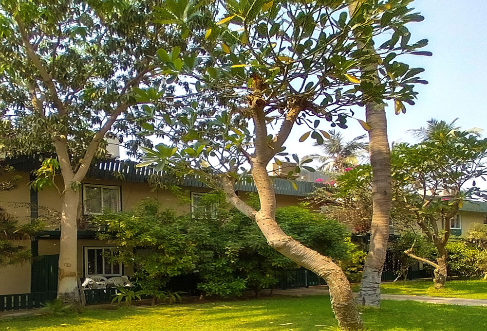 MURA BUSTAN COMPOUNDS 7