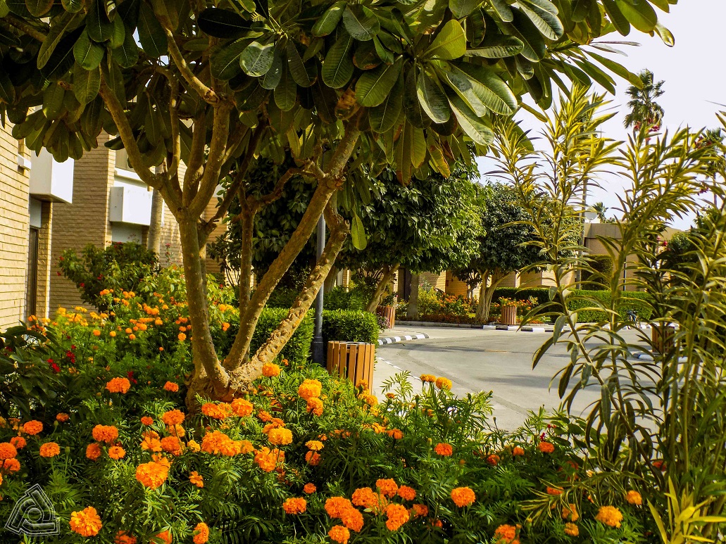 AL DANAH & AL NADAH COMPOUNDS 111