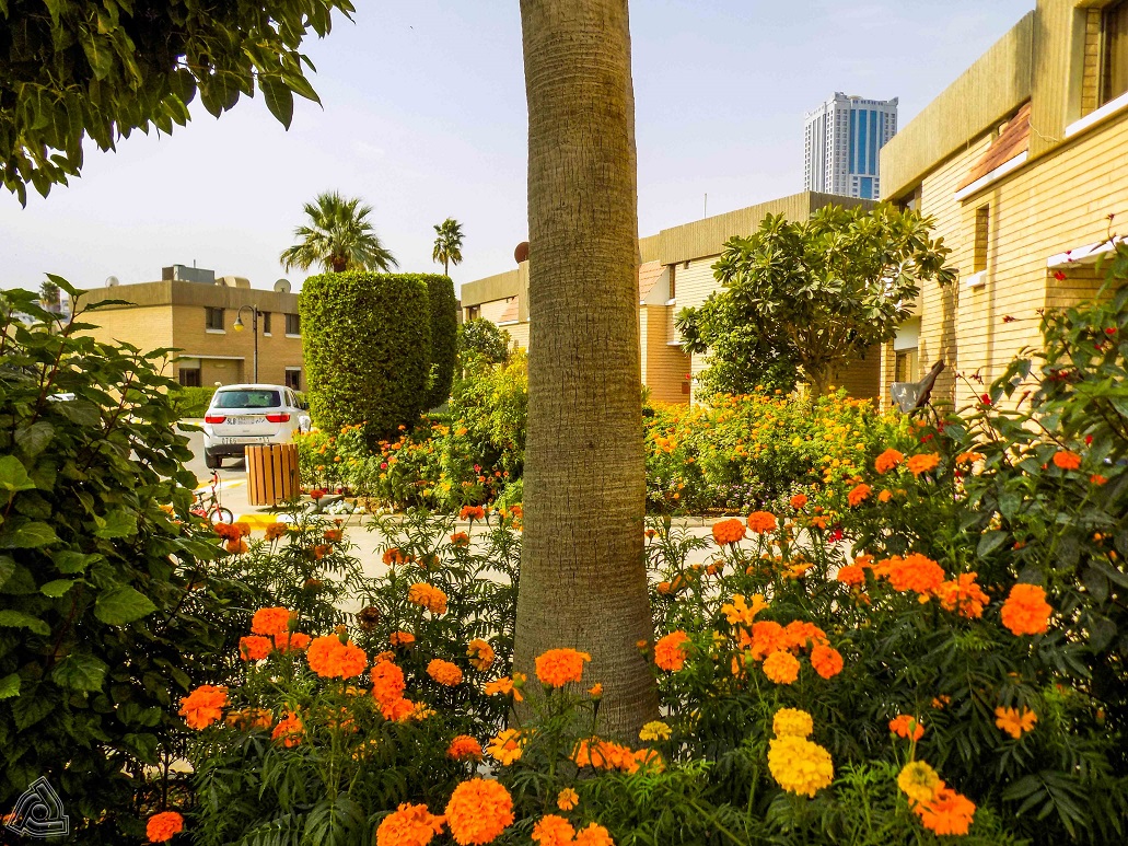 AL DANAH & AL NADAH COMPOUNDS 120