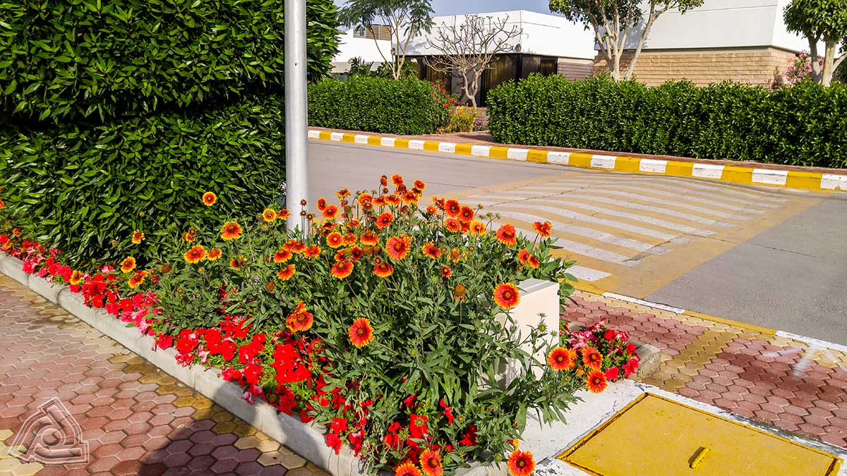 AL DANAH & AL NADAH COMPOUNDS 46
