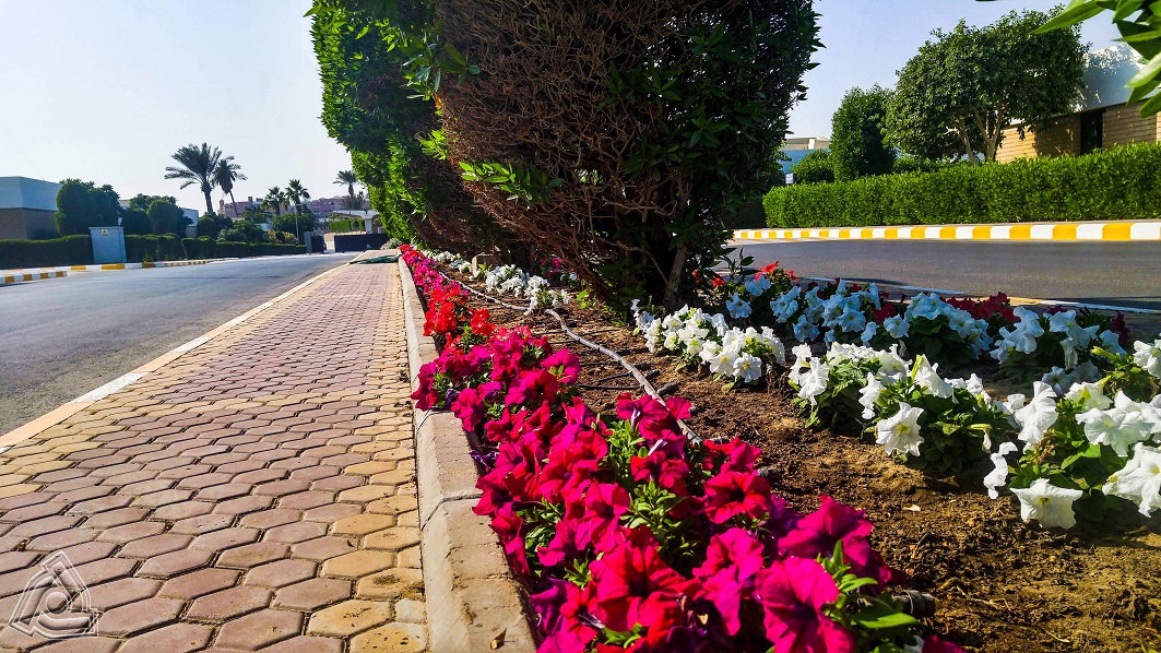 AL DANAH & AL NADAH COMPOUNDS 48